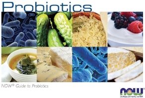 Sprievodca probiotikami